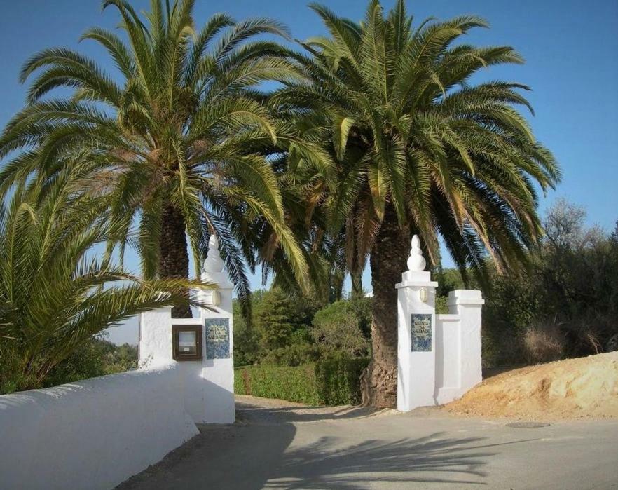Casa Pura Vida - Fantastic Sea View Villa Pêra Dış mekan fotoğraf